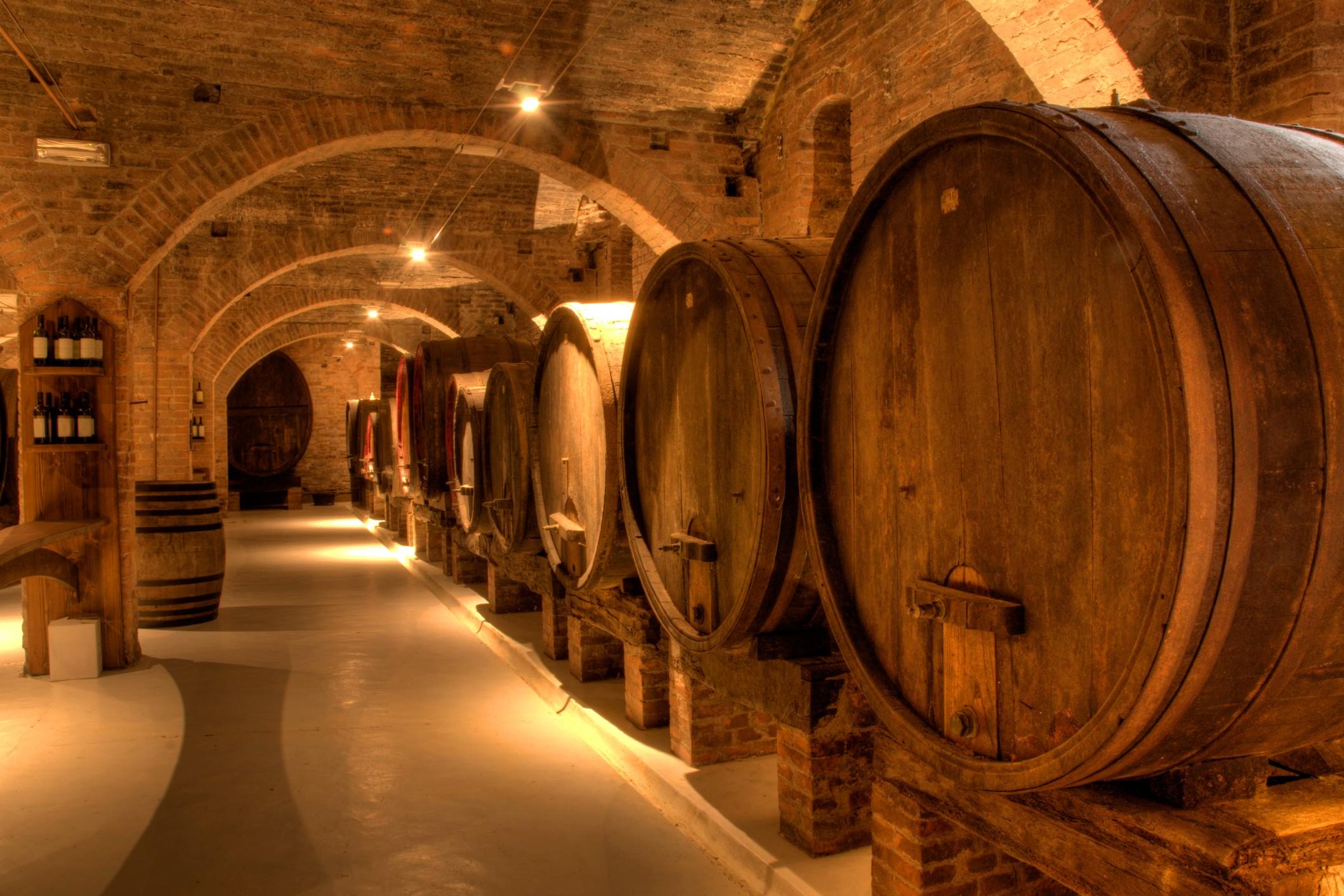Cantine italiane invisibili all'estero — visuale evocativa di un vigneto italiano